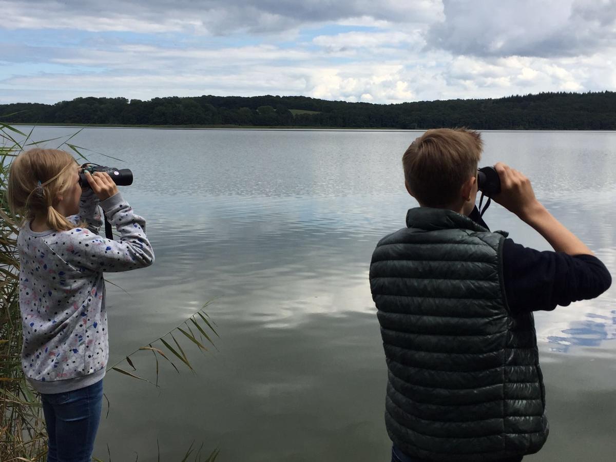 Haus Inge Lägenhet Heringsdorf  Exteriör bild