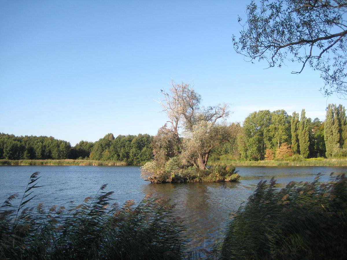 Haus Inge Lägenhet Heringsdorf  Exteriör bild